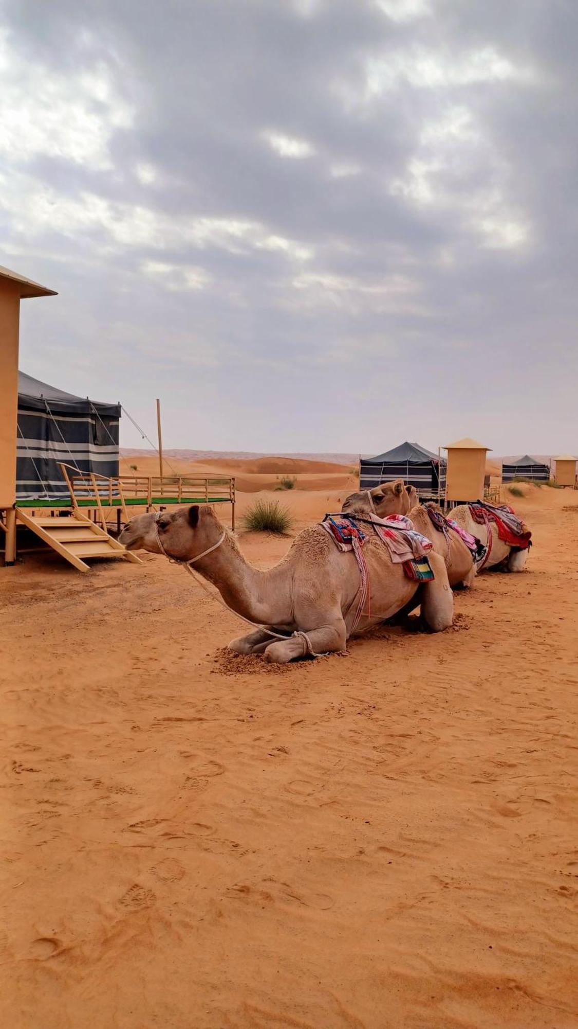 Sunrise Desert Local Private Camp Badīyah Exterior foto